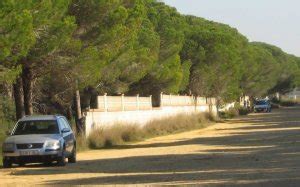 gay chiclana|Cruising en Chiclana de la Frontera: Una experiencia inolvidable。